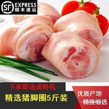 新鲜冷冻猪脚圈生鲜猪脚圈生猪蹄猪蹄块猪爪猪手猪肘猪排包装常温