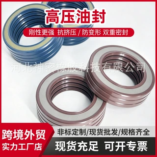 外贸出口高压油封 氟胶 NBR 材质 工程机械液压密封件泵用密封件