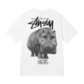 White【Rhino】