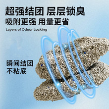 Vɰ؈̿؈ɳ͉m׽YF؈ɰ؈ɰ