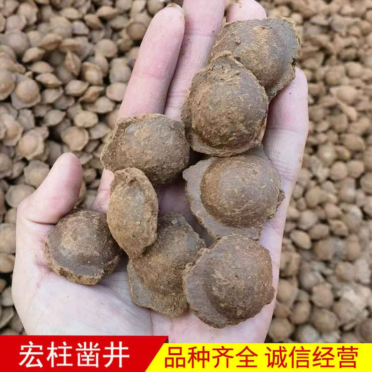 Fengjing обратно приполнить утечку изогнутовый шарик расширительный грязевой шарик бентонит водопоглощающий глиняный шарик из бентонита