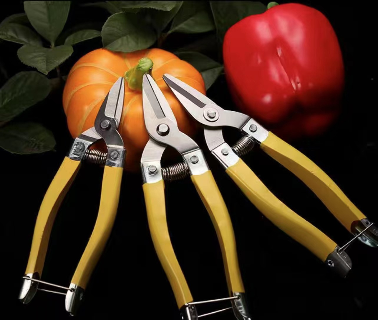 微信图片_20231202020323