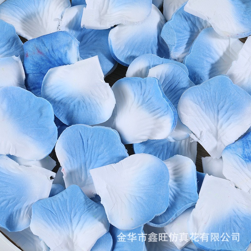 27 스카이 블루 엣지