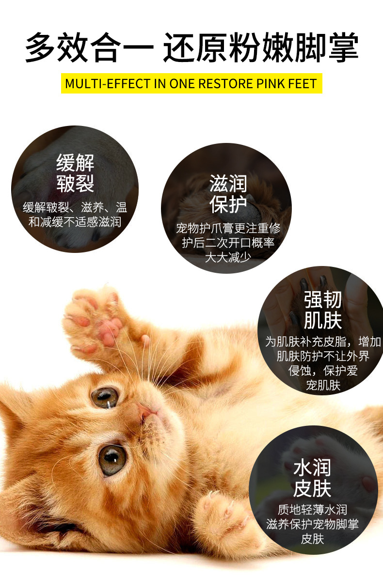 （爪子）奥拉齐阿猫阿狗详情_04