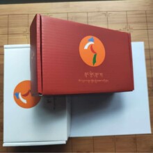 【绿色环保 100%可降解】西藏风马纸 撒隆达纸风马纸  小包装经幡