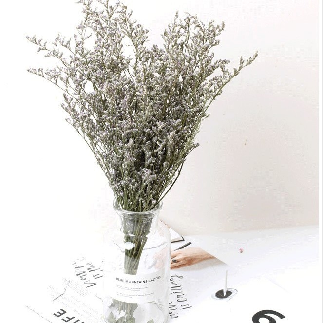 연인 잔디의 무리