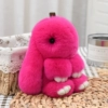 Rose red 13 cm