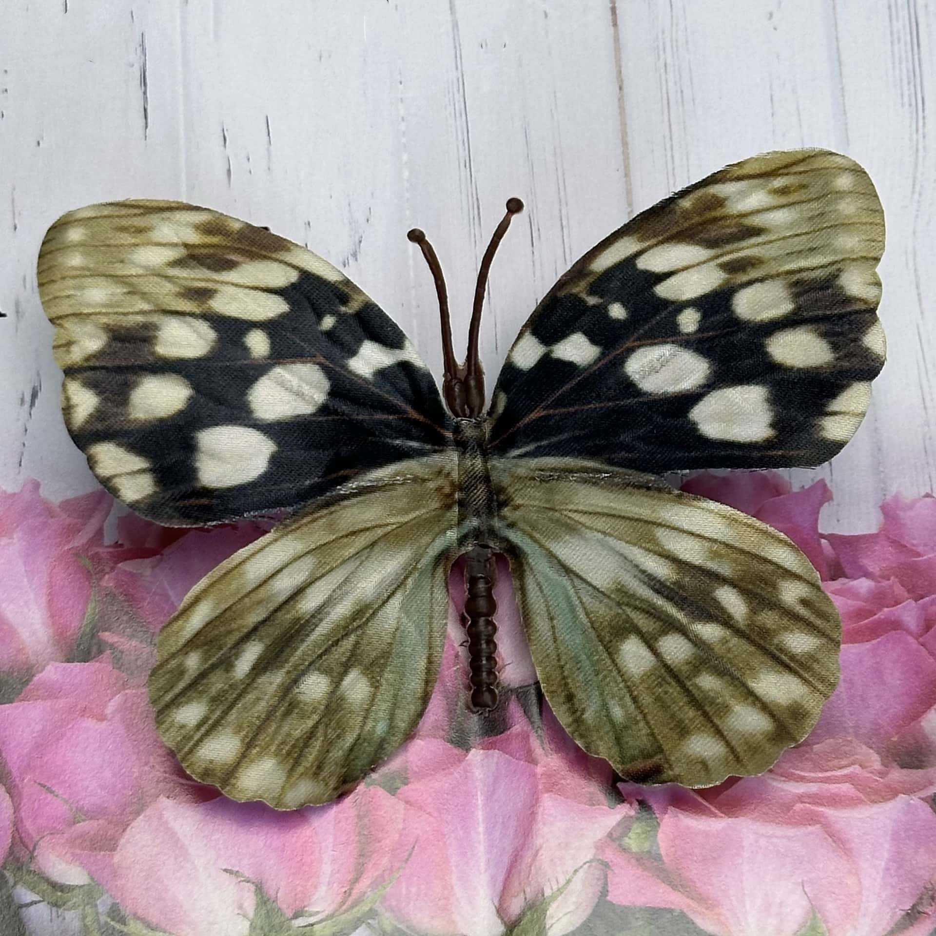 Seda 11CM color mariposa talla grande 24