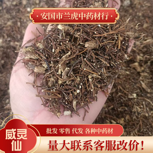 ���`����ș��500g��������؛ɢ�b�ٗl�� �ϻ�� �F�������`��