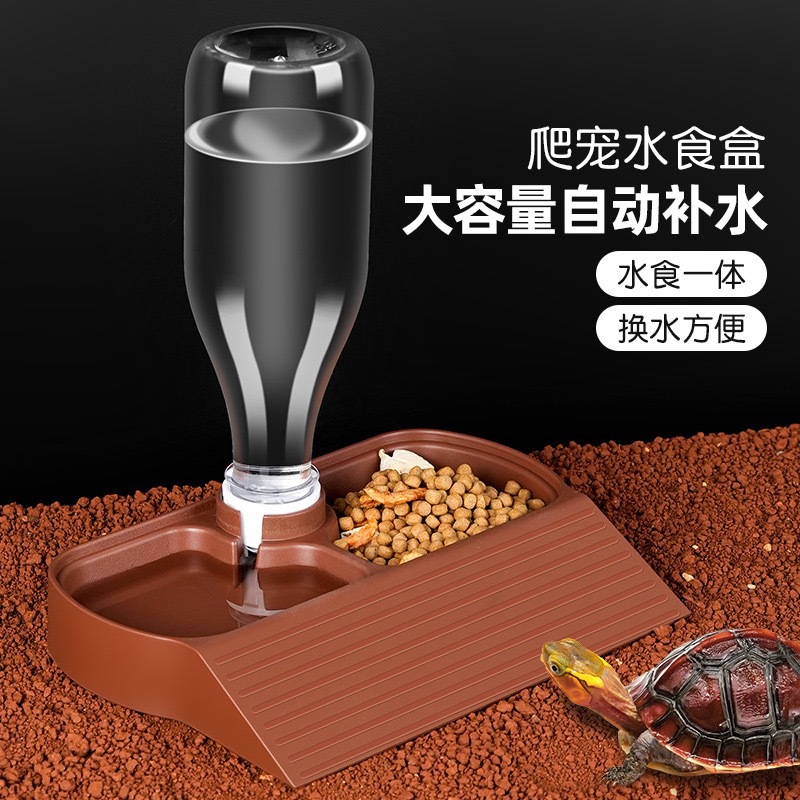 爬宠饮水器乌龟蜥蜴食盒守宫变色龙饮水池喝水盆子食盒