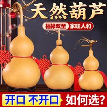 ��Ȼ���J�[������_��ľ���J�͏d�k��С�����ְѼ�����J