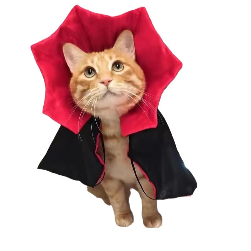 ペットハロウィーンマント猫犬血族王変装服貴賓比熊雪納瑞博美|undefined