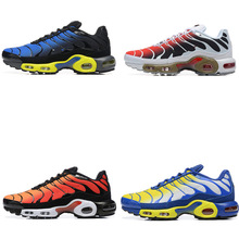 2024��羳TN �p�����ܲ�Ь ��a��Ь40-46