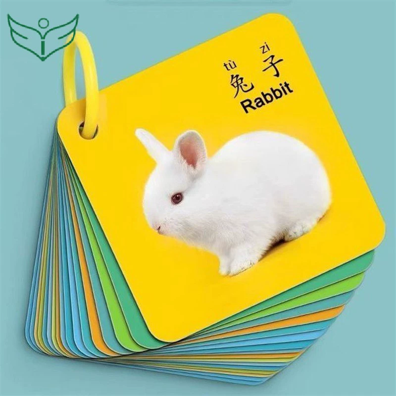 Cognitive cards, smart toy, early education, training, literacy