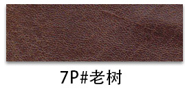 7P#오래된 나무