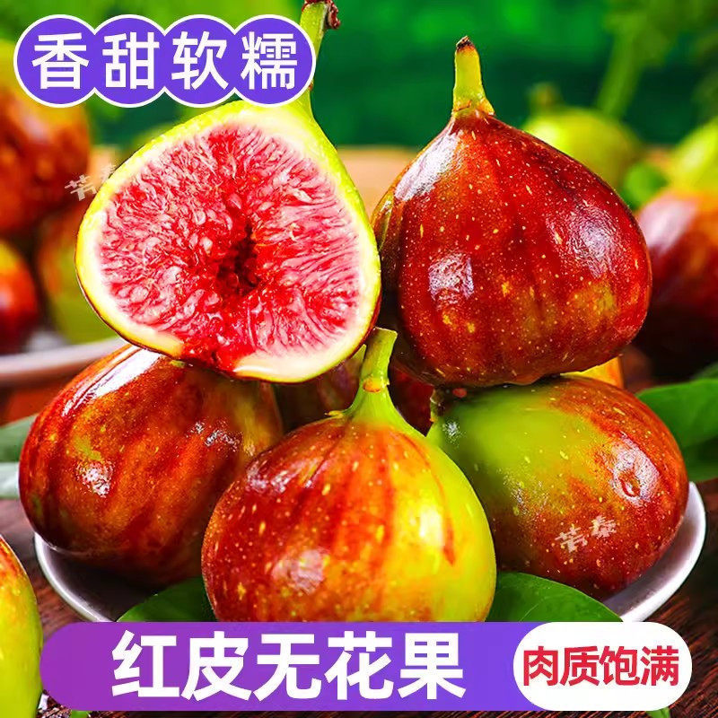 Yunnan Red-Skinned Fresh Figs, Large Fruits, Freshly Picked in Season, Whole Box Yunnan Red-Skinned Fresh Figs, Large Fruits, Freshly Picked in Season, Whole Box