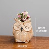 Cross -border new Japanese and Korean small animals colored thumb pot kiln transformed owl sets of succulent pot craftsmanship wholesale