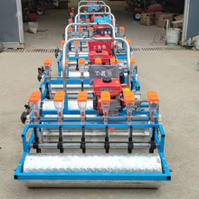 �����p���߲˾����C �۹����g�N�Ӳ��N�C ���������˅��c���C