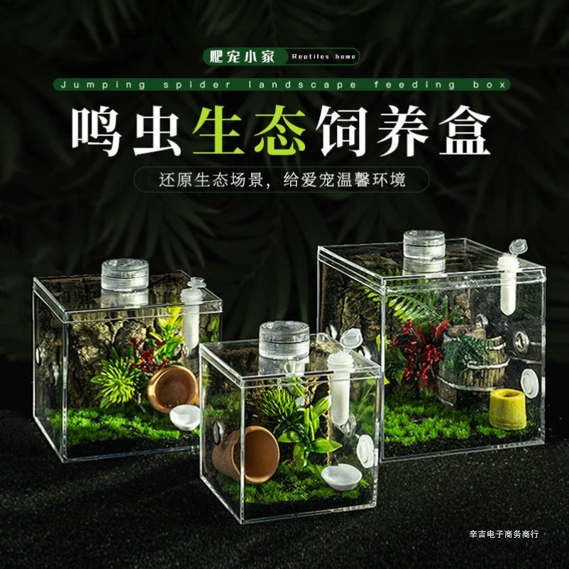 Новая экологическая коробка высокой прозрачности для сороконожек, масляных лягушек, стрекоз, прыгающих пауков, бамбуковых мух, богомолов и насекомых.