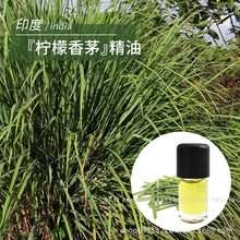 印度原产柠檬草叶片蒸馏浓郁柠檬酸香1ml单方柠檬香茅精油