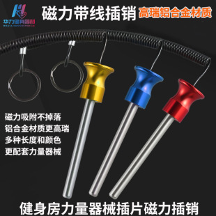 �羳�����������С�w�B���T�����؉K�{�����N�X�Ͻ�����������N