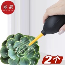 -10Y]//ⴵA1V50-mCR^η坍ϴ