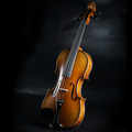 萨凡尼意大利工艺手工实木专业级初学考级 演奏级独板小提琴