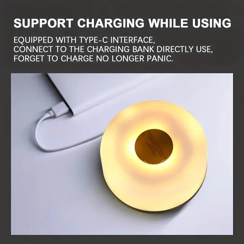 Portable Camping Light