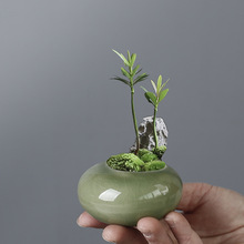 跨境冰裂釉多肉花盆陶瓷创意桌面迷你小绿植竹柏花盆酒店花器中式