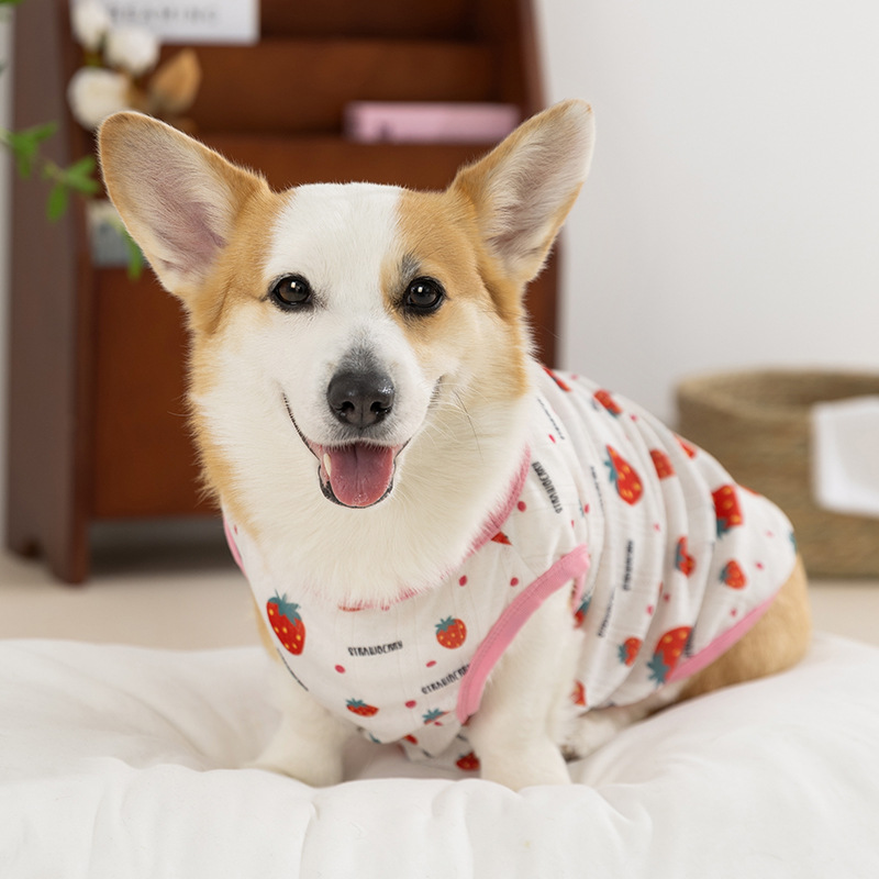 Estilo de primavera y verano perro fresa fruta Corgi chaleco pequeño perro salchicha de dos patas ropa delgada para perros