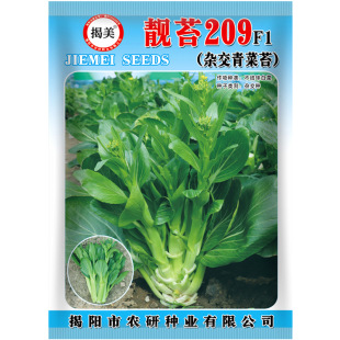 �n̦209�s�����̦�N��10�� ��β�������� ��ѿ���̦�߲˷N