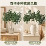 摄影颜色花店叶子片