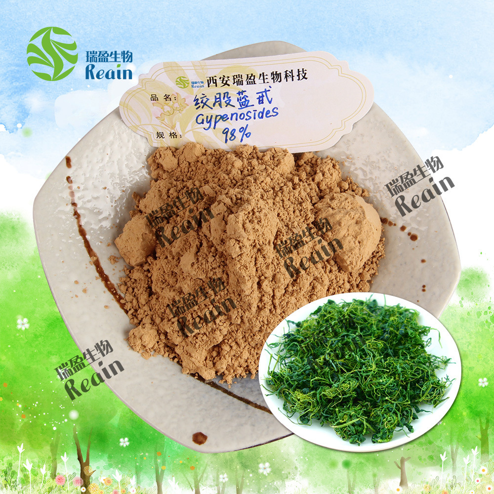 瑞盈 絞股藍提取物10：1比例絞股藍濃縮粉 絞股藍甙量大優惠