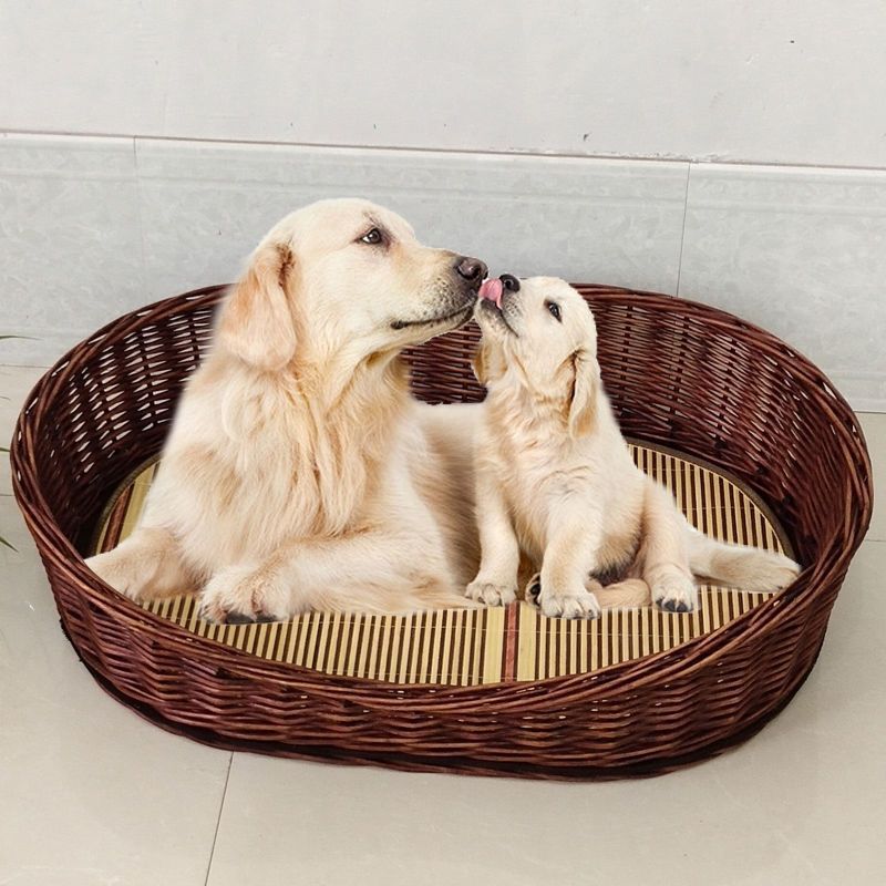 犬の巣の藤編の夏の冷たい巣は犬の巣を洗うことができます。|undefined