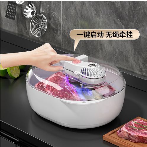 新型家庭用肉類解凍器大容量キッチン快速解凍器食品ステーキ解凍器が便利です。|undefined