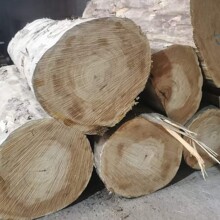 ��̴ľ �S�����ľ TKҎ���� �Ҿ��b�� ��ˇƷ��� ȫ�����b