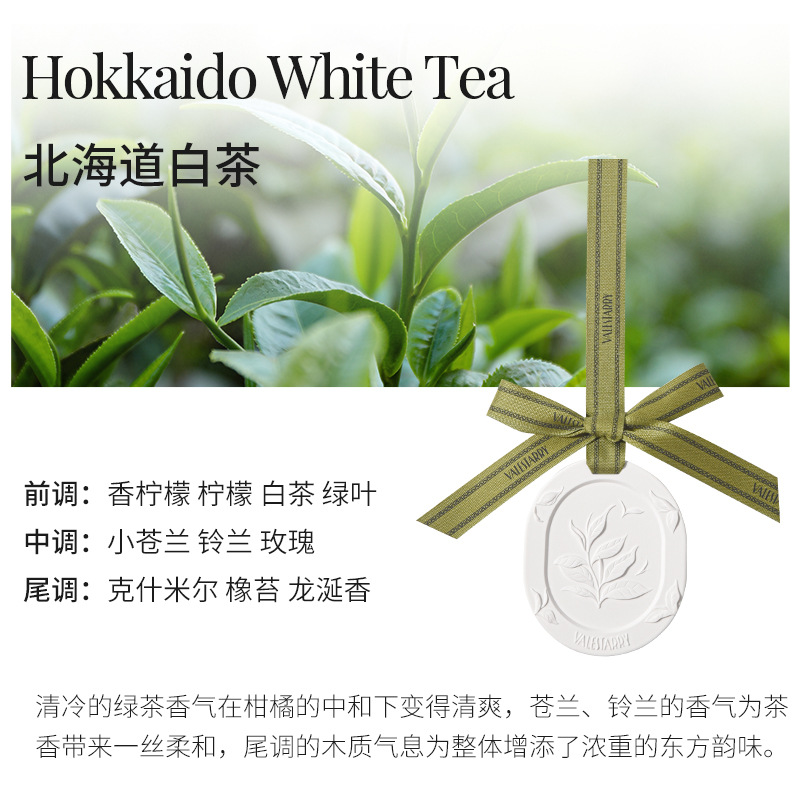 카이도 백차(상큼한 차 향)