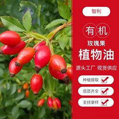 ローズヒップオイル、オーガニックチリ産フェイシャルエッセンシャルオイル、マッサージエッセンシャルオイル、引き締めアロマセラピーベースオイル原料卸売
