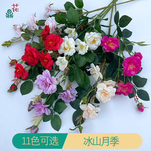 �����ɽ�¼� ��֦�Nޱ�� ���W�L�����[������ �҃��쾰�bٻ�