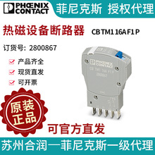 �����˹ �ȴ��豸��·�� - CB TM1 16A F1 P - 2800867��������