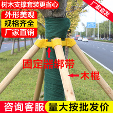 树木支撑固定器套装支撑架杆杉木松木杨木棍园林绿化稳定支架防风