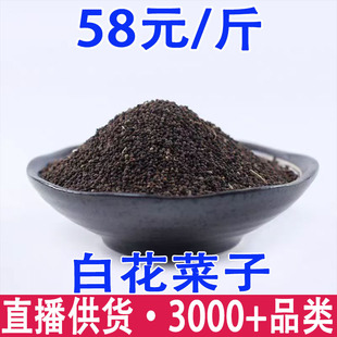 �׻����� �׻����Ѿ��x�ٻ��������l���l