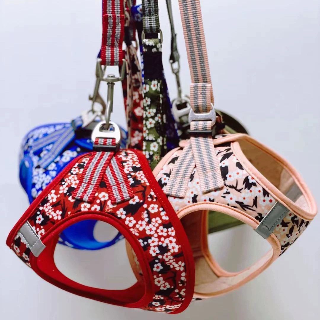 Поводок для собак, шлейка для домашних животных, жилет, дышащий поводок для маленьких собак и кошек, комплект жилета для поводка для собак
