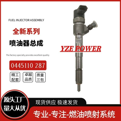 0445110141 H82146357 Common Oil pump, nozzle
