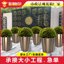 ���������z���P䓮��δ󻨳�Դ�^�S�Ҷ������l�㙉����~ɫ����