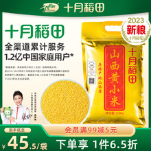 2023年新小米十月稻田山西黄小米5斤山西特产小米粥2.5kg米油丰厚