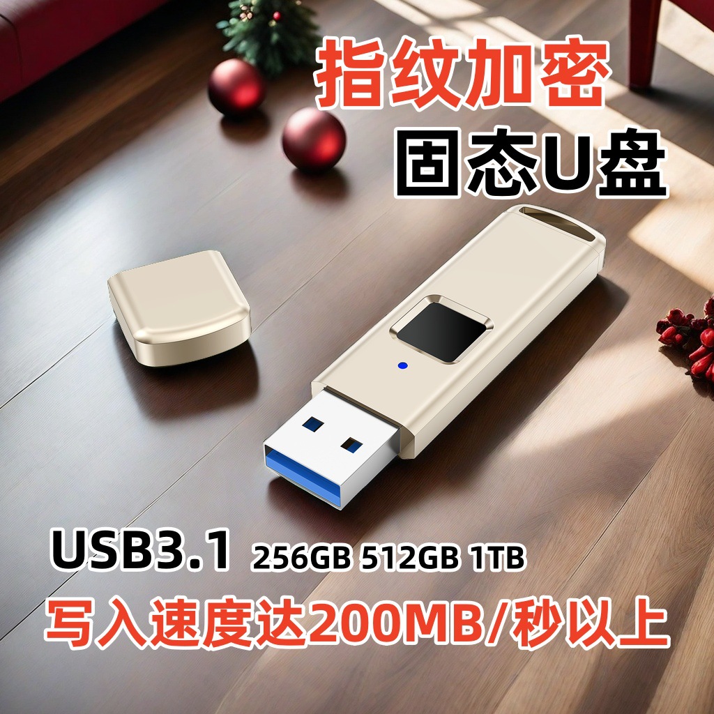 512GB USB3.1高速指纹识别加密固带金属U盘写速度达200MB/S以上