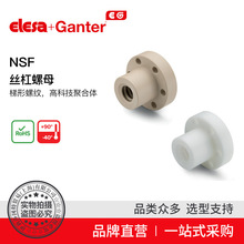 Elesa Ganter����ɯ���� �S��  �X݆ NSF �z����ĸ�����ݼy