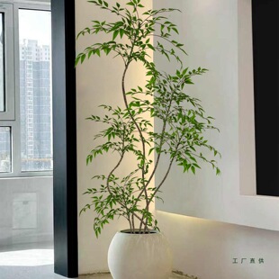 ����Gֲ�������҃ȿ͏d�ҕ���߼��з����Gɫֲ��������ԷՇ���