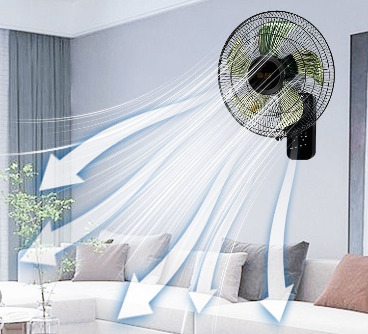 e1ae1b10-af40-4497-b704-087b898a42d1.jpe